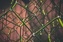 Qu'est-ce que la blockchain ?